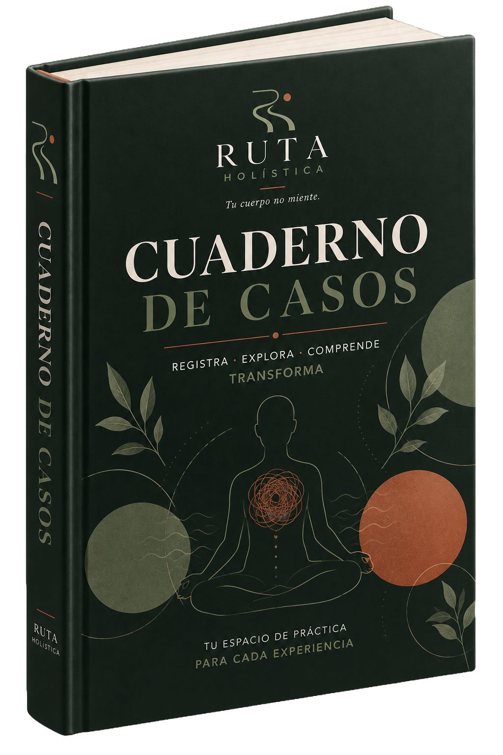 Cuaderno de Casos BIO 2026