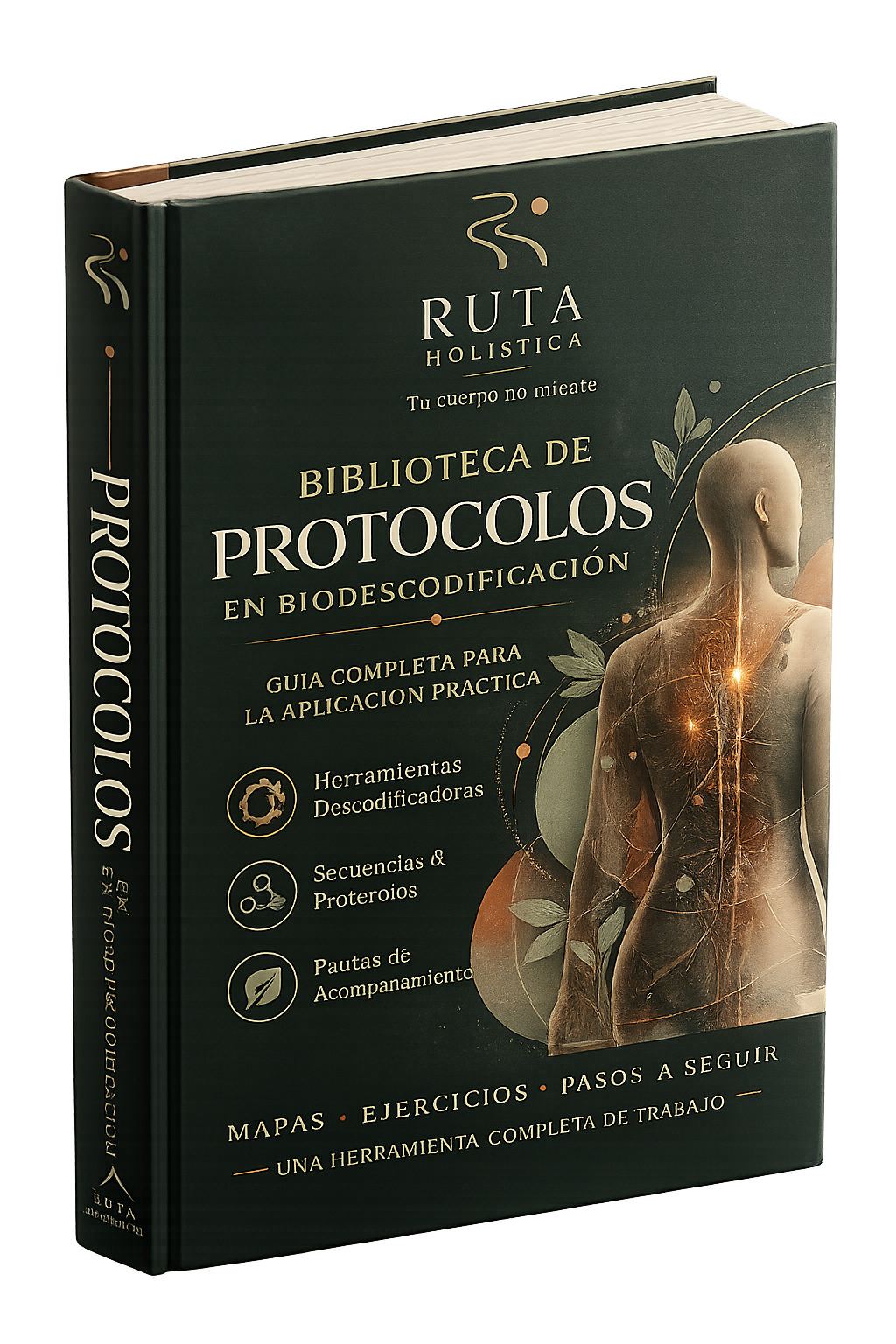 Guía de Protocolos BIO 2026